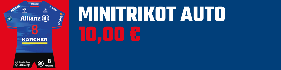 MiniTrikot Auto