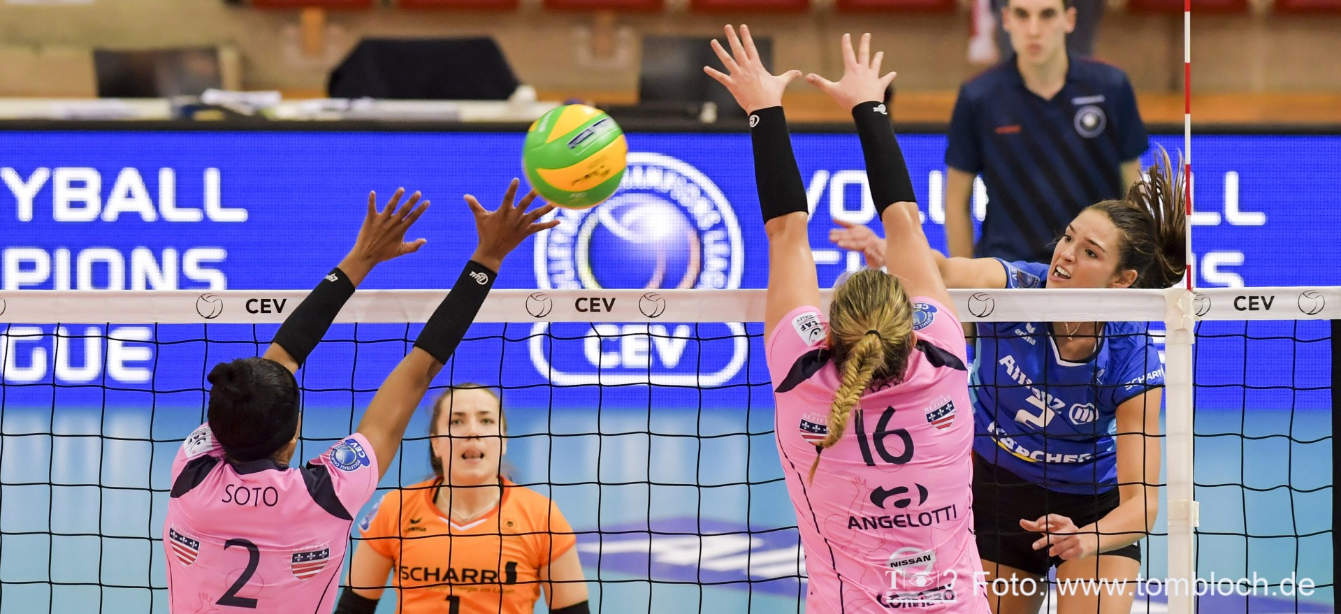 cev volleyball champions league